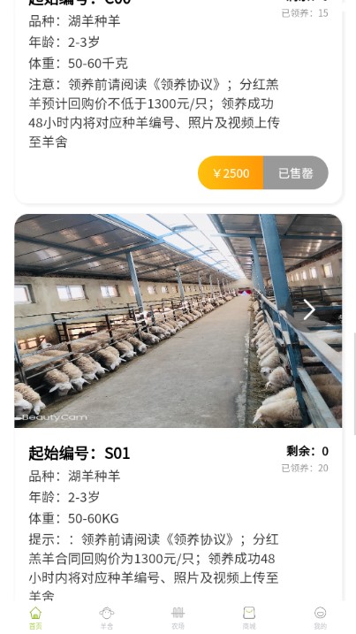 养羊得益平台