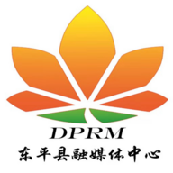 东平手机台客户端2023官方版