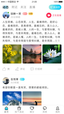 星尘之约平台