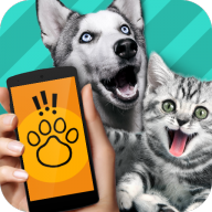 猫狗翻译器中文版免费下载
