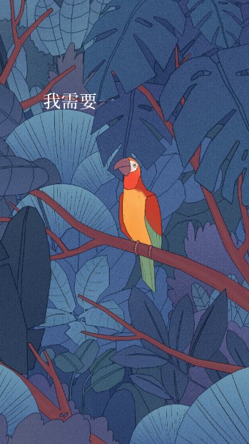 孤独的鸟儿无广告版