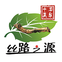 爱石泉2023最新版下载