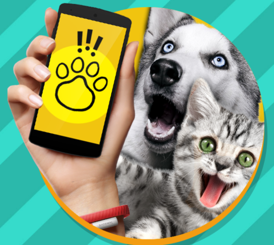 猫狗翻译器中文版(Pet Translator)