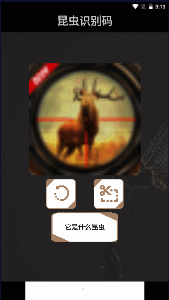 昆虫识别码软件下载免费