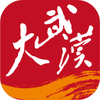 大武汉app手机客户端2023最新版