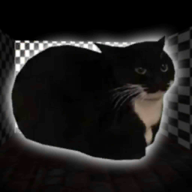 夜间追逐模拟器游戏下载2023最新版(Night Maxwell Cat Simulator)