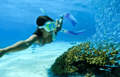 gopro官方下载app(GoPro Quik)