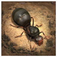 小小蚁国手游国际版(The Ants)