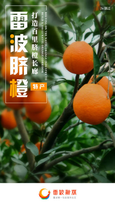雷波融媒体app