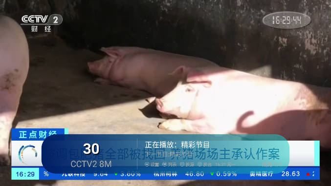 芸汐影视TV下载电视版2023最新版