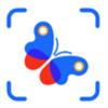 INsect昆虫识别派app