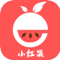小红果app手机版下载 v1.1