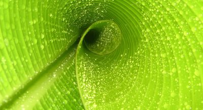 苹果怎么打开自动更新应用	-苹果怎么打开自动更新应用权限
