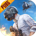 pubg体验服国际版(BETA PUBG MOBILE)