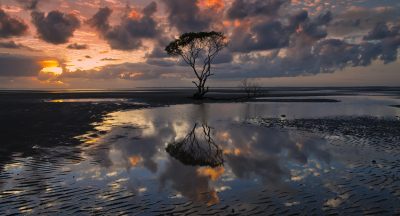 和平精英怎么得马沙拉地-和平精英里面马萨拉蒂哪里买