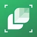 LeafSnap植物识别app